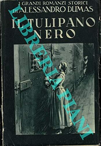 Il tulipano nero - copertina