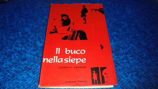 Il buco nella siepe - copertina