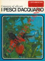 Conoscere ed allevare i pesci d'acquario