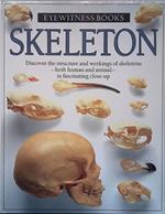 Skeleton