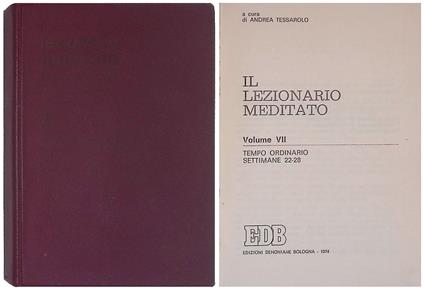 Il lezionario meditato. Vol. VII - Tempo ordinario, Settimane 22-28 - copertina