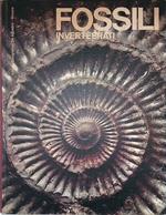 Fossili. Invertebrati