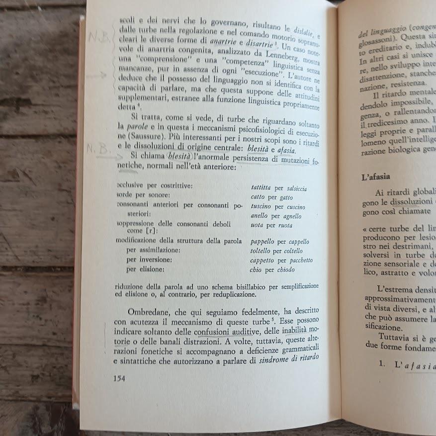 Linguaggio e funzione simbolica