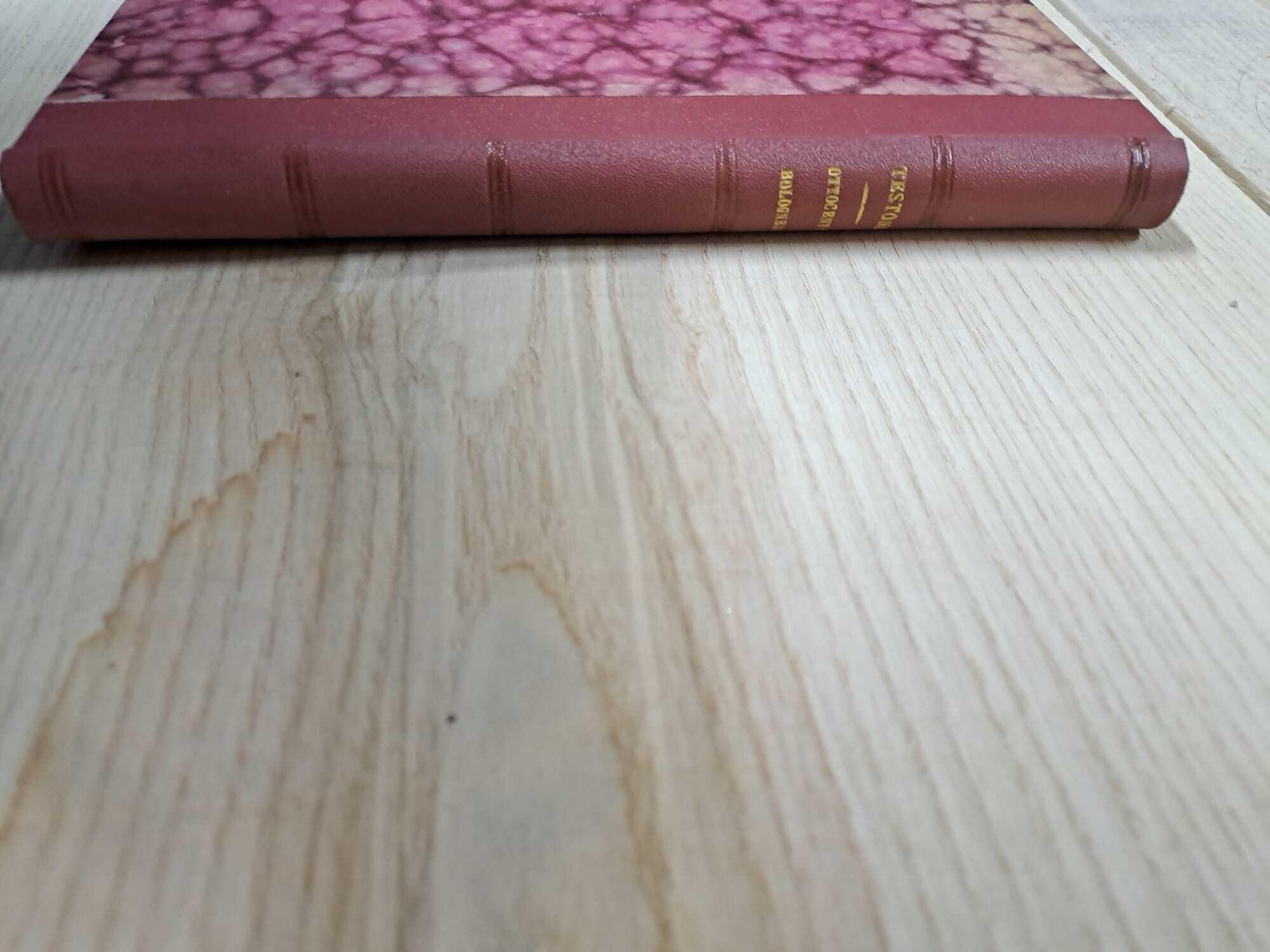 Ottocento Bolognese. Nuovi ricordi di Bologna che scompare