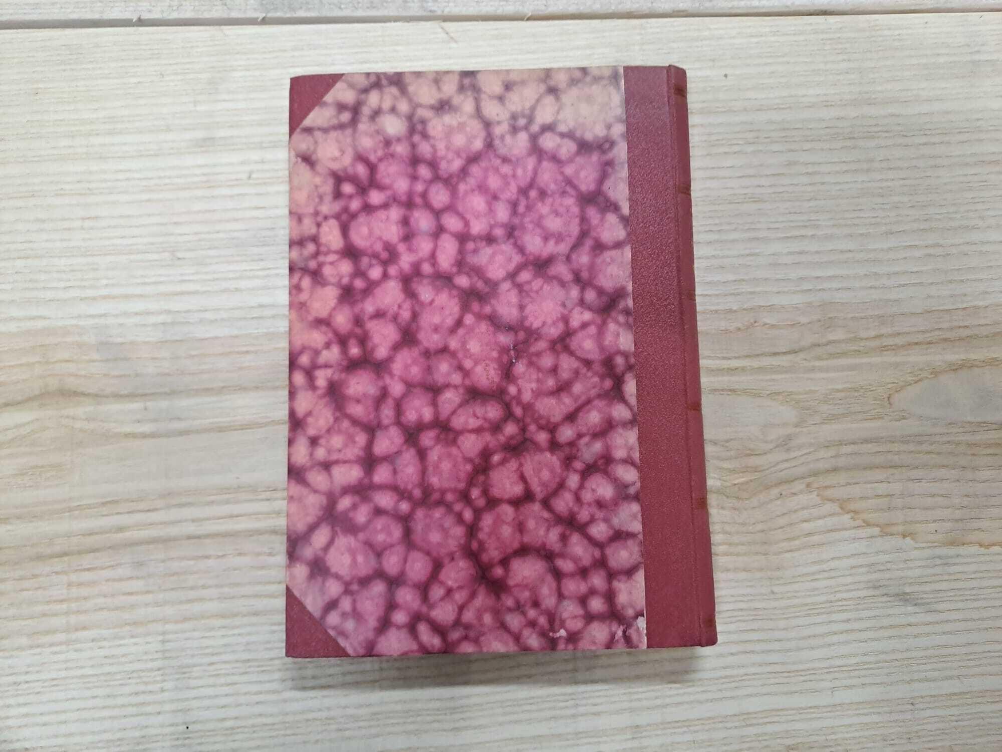 Ottocento Bolognese. Nuovi ricordi di Bologna che scompare