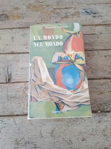Un mondo nel mondo - copertina