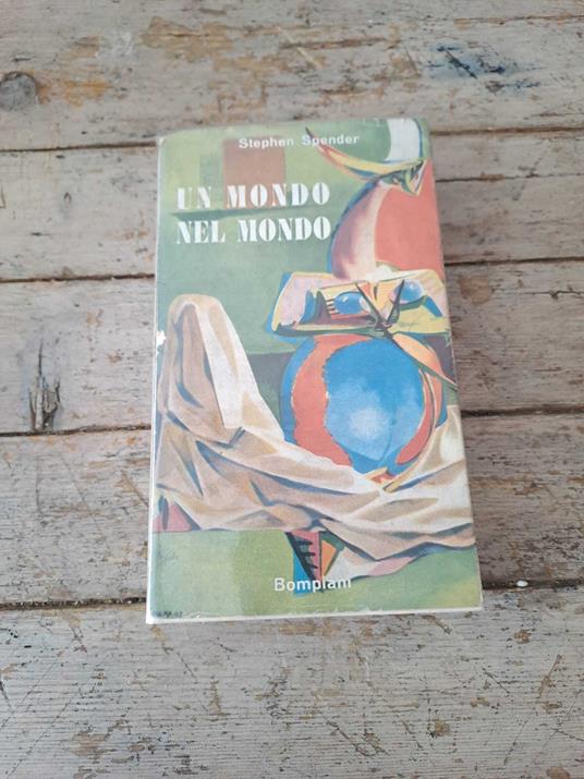 Un mondo nel mondo - copertina