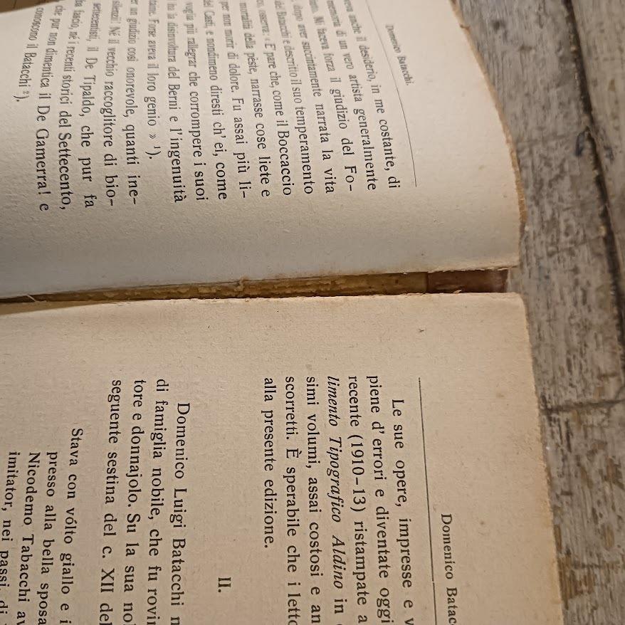 La Rete di Vulcano (2 voll. completo)