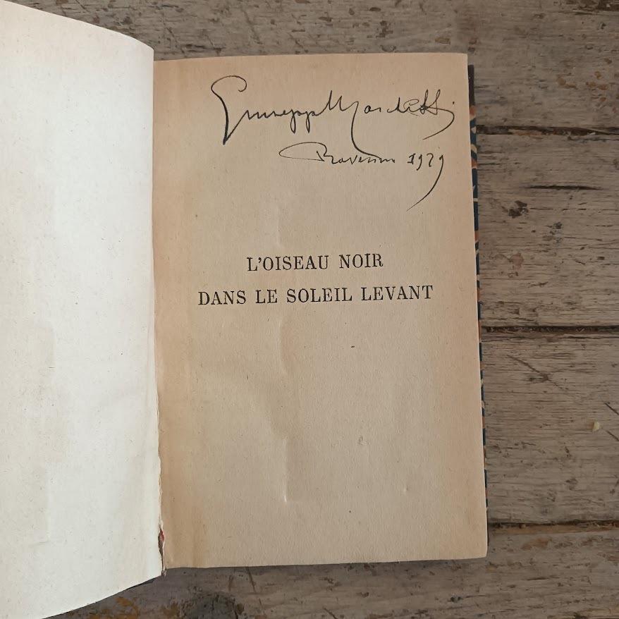 L' oiseau noir dans le soleil levant