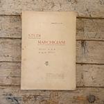 Studi marchigiani 1905-1906