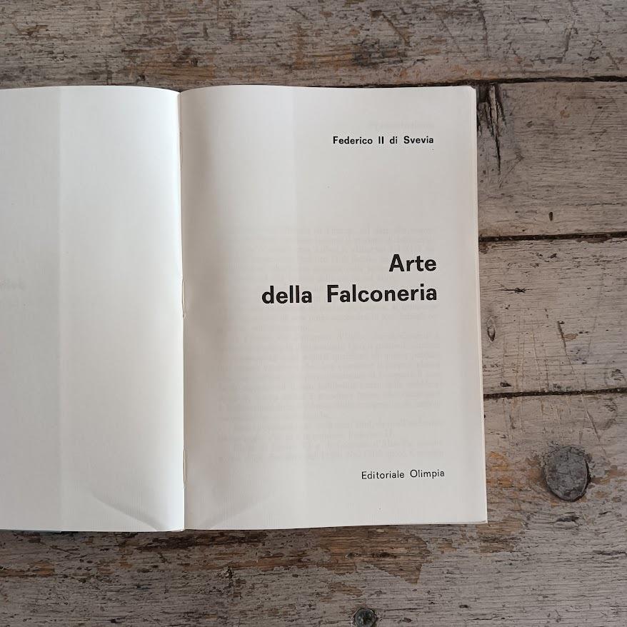 Arte della falconeria