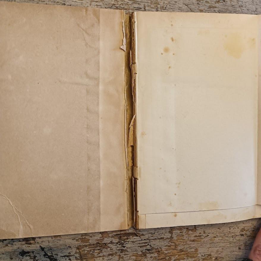 L' Italia marinara e il Lido della Patria