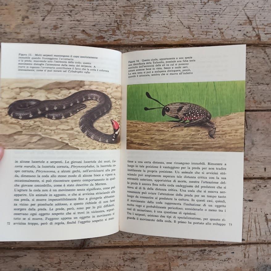 Mimetismo animale e vegetale