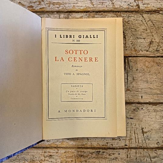 Sotto la cenere - copertina