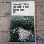 Pellegrini di pena