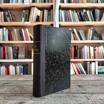 Miro e Naida. Romanzo orientale - Italo Pizzi - copertina