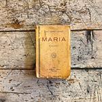 Maria. Romanzo