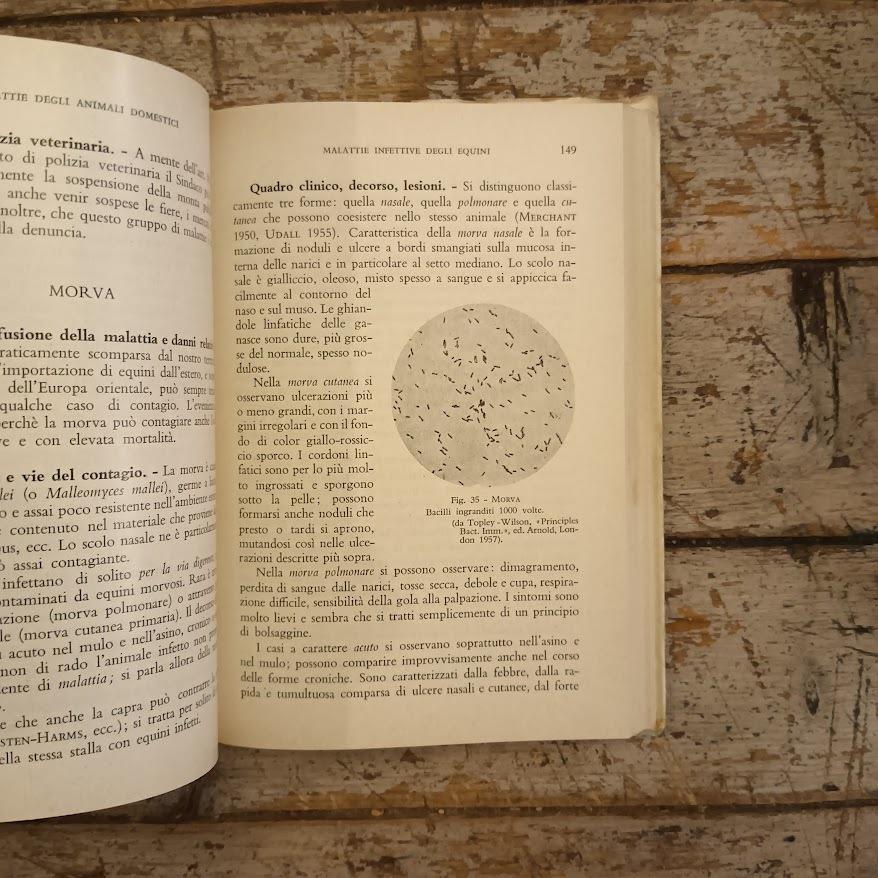 Malattie infettive e parassitarie del bestiame