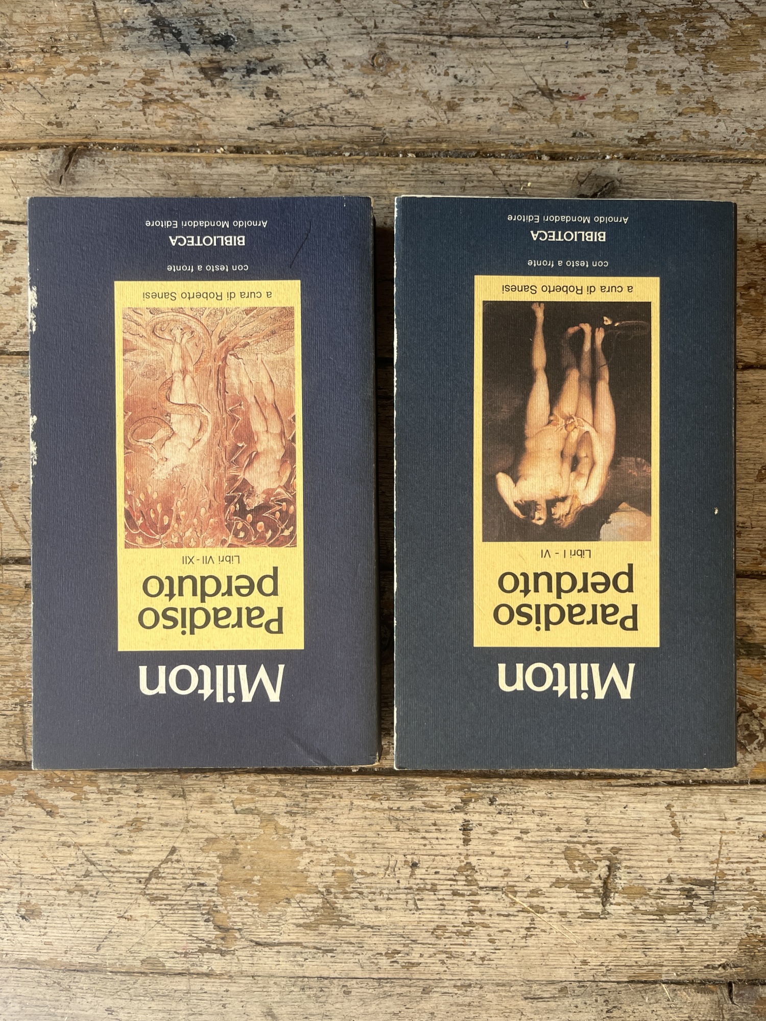 Libreria Catap Macerata