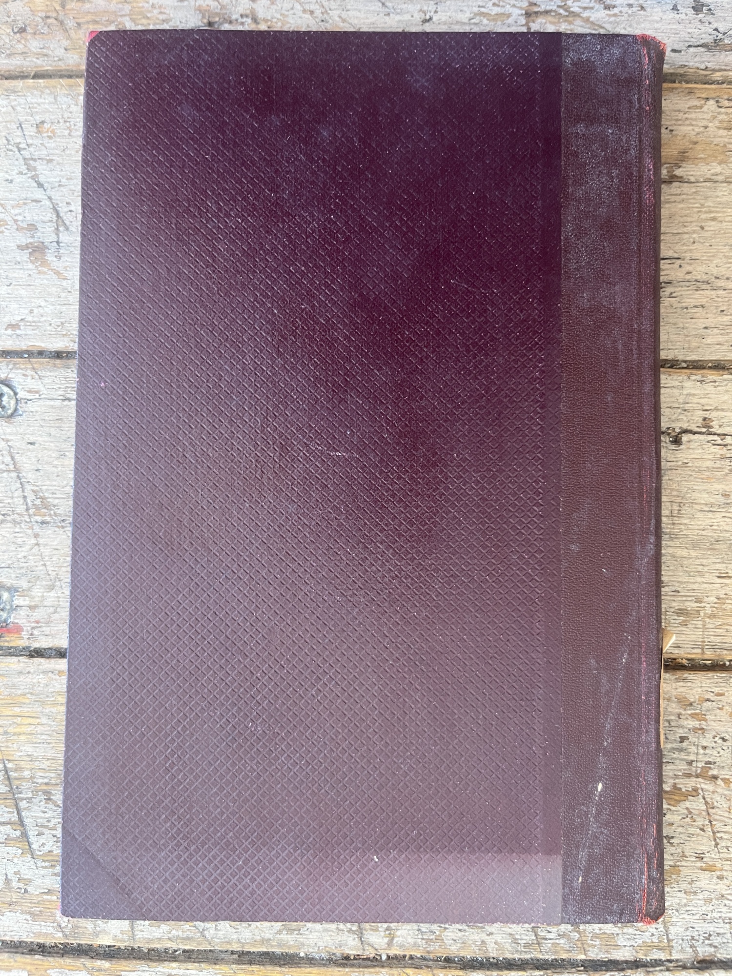 Libreria Catap Macerata