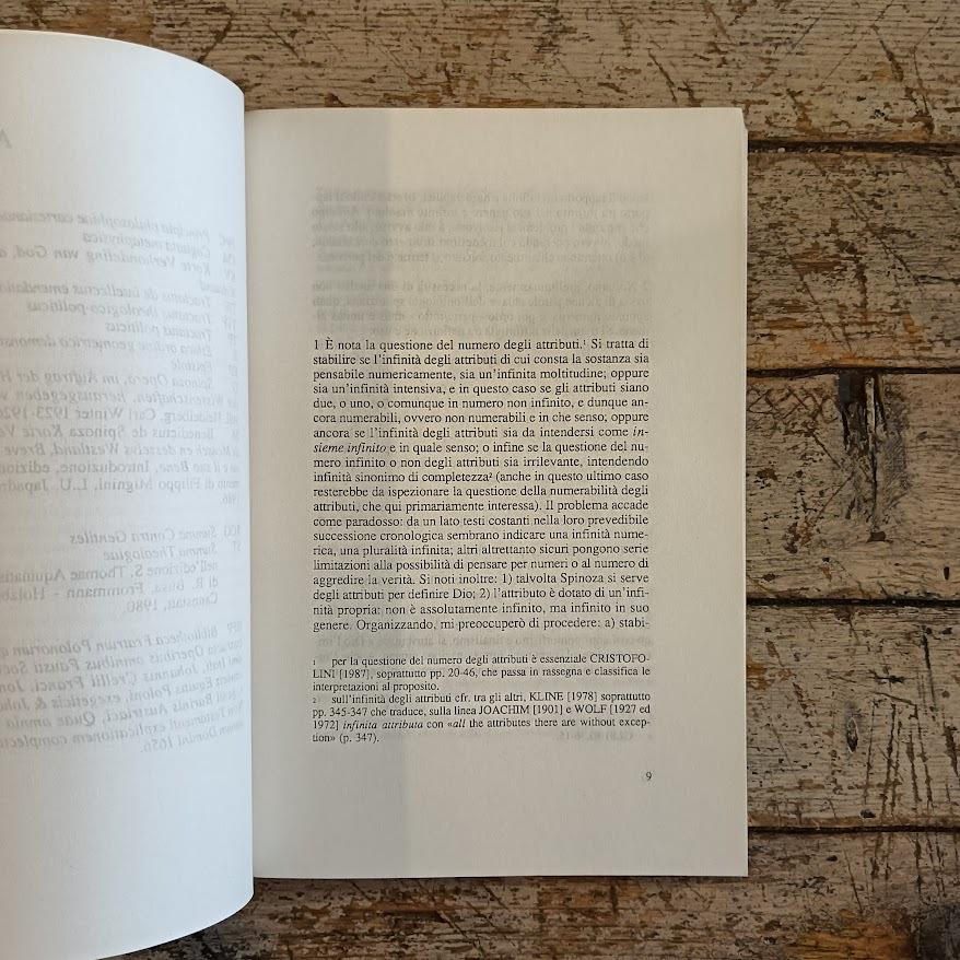 Sub specie aeternitatis. Luoghi dell'ontologia spinoziana