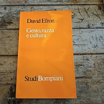 Gesto, razza e cultura - David Efron - copertina