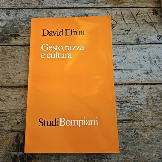 Gesto, razza e cultura - David Efron - copertina