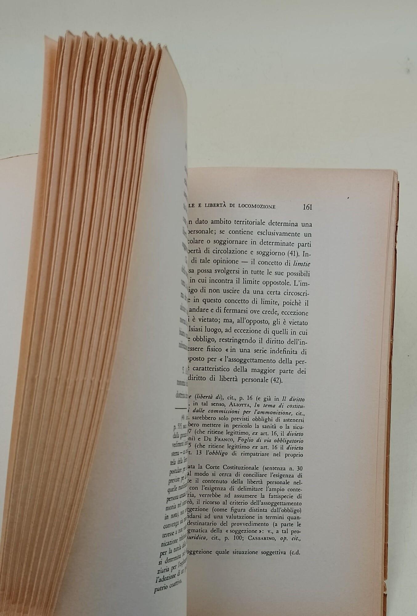 I principii costituzionali della libertà personale