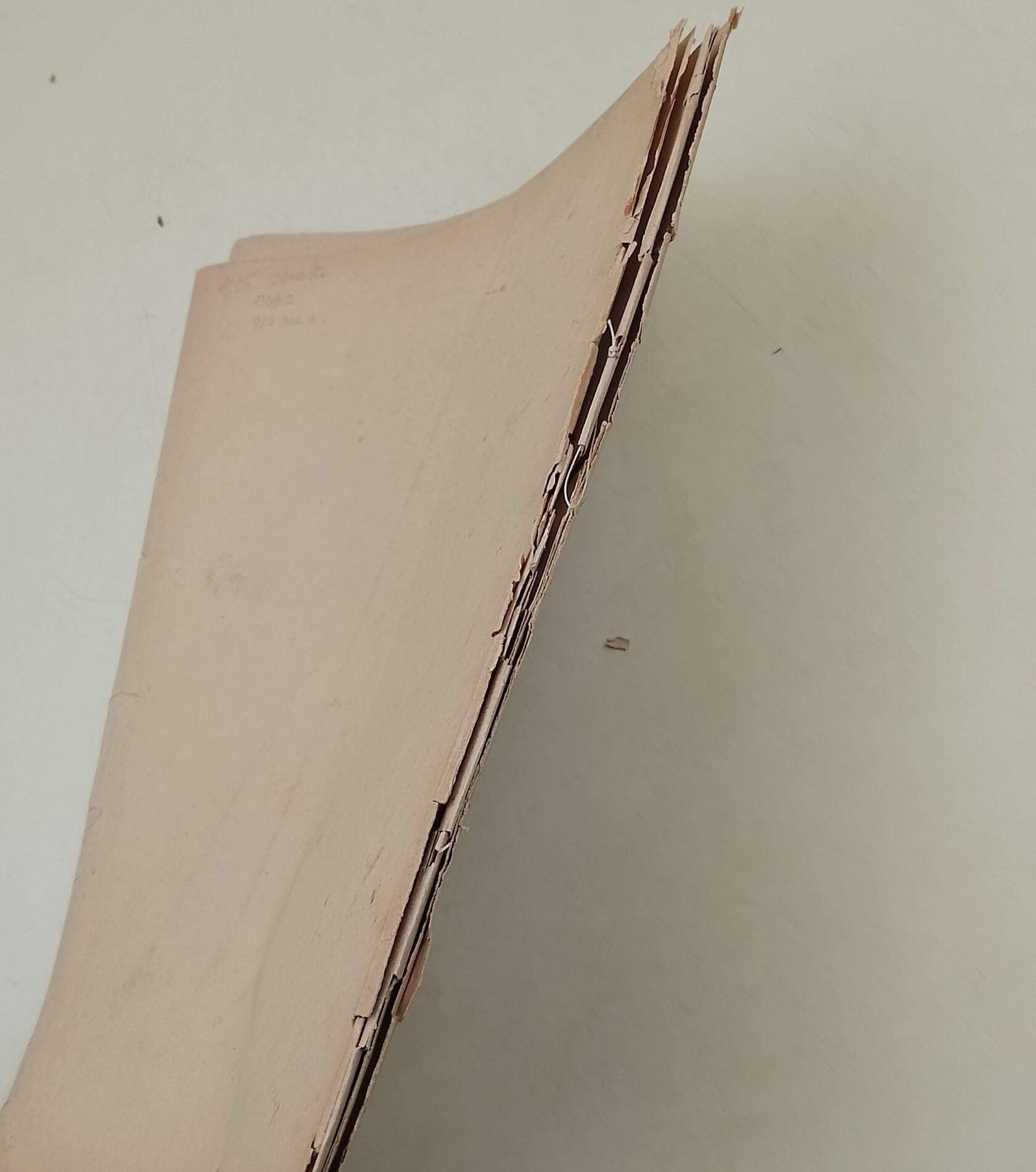 Il collegio Nazareno di Roma come opera pia e come istituto scolastico