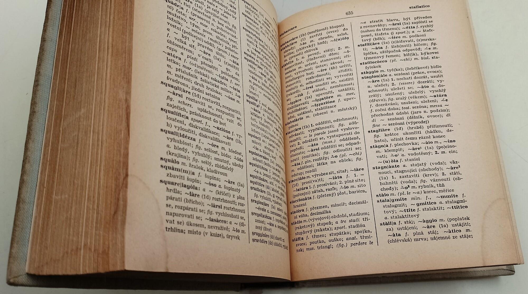 Italsko-Cesky-Slovnik