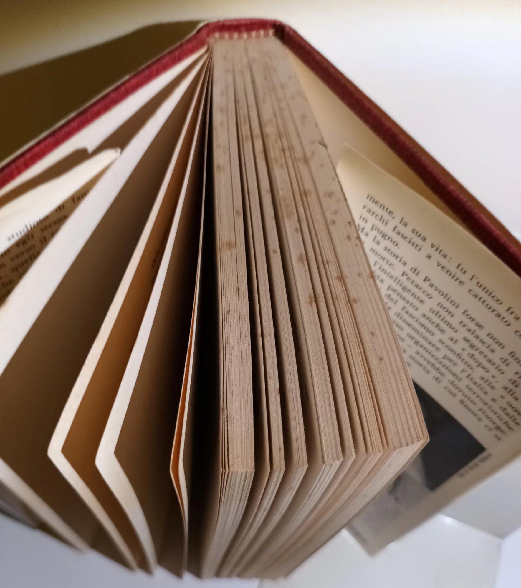 Pavolini , l'ultima raffica di salò