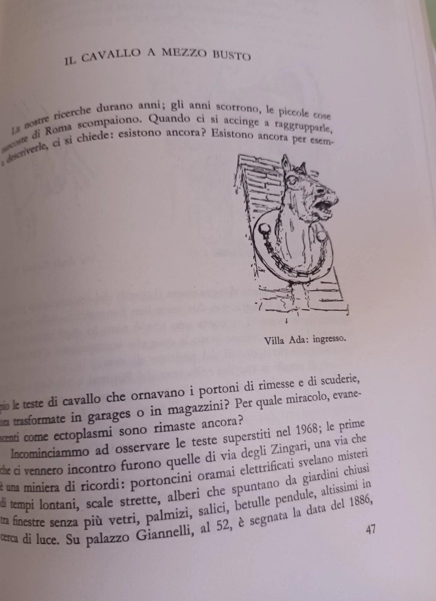 L' L' età del Cavallo