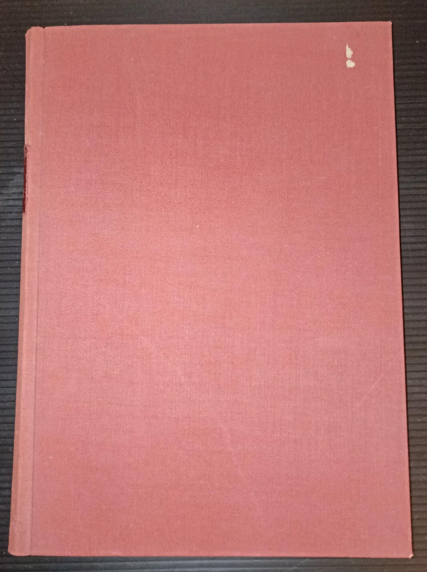 Vico in Piemonte. Contributo alla storiografia filosofica e giuridica nell'età del Risorgimento