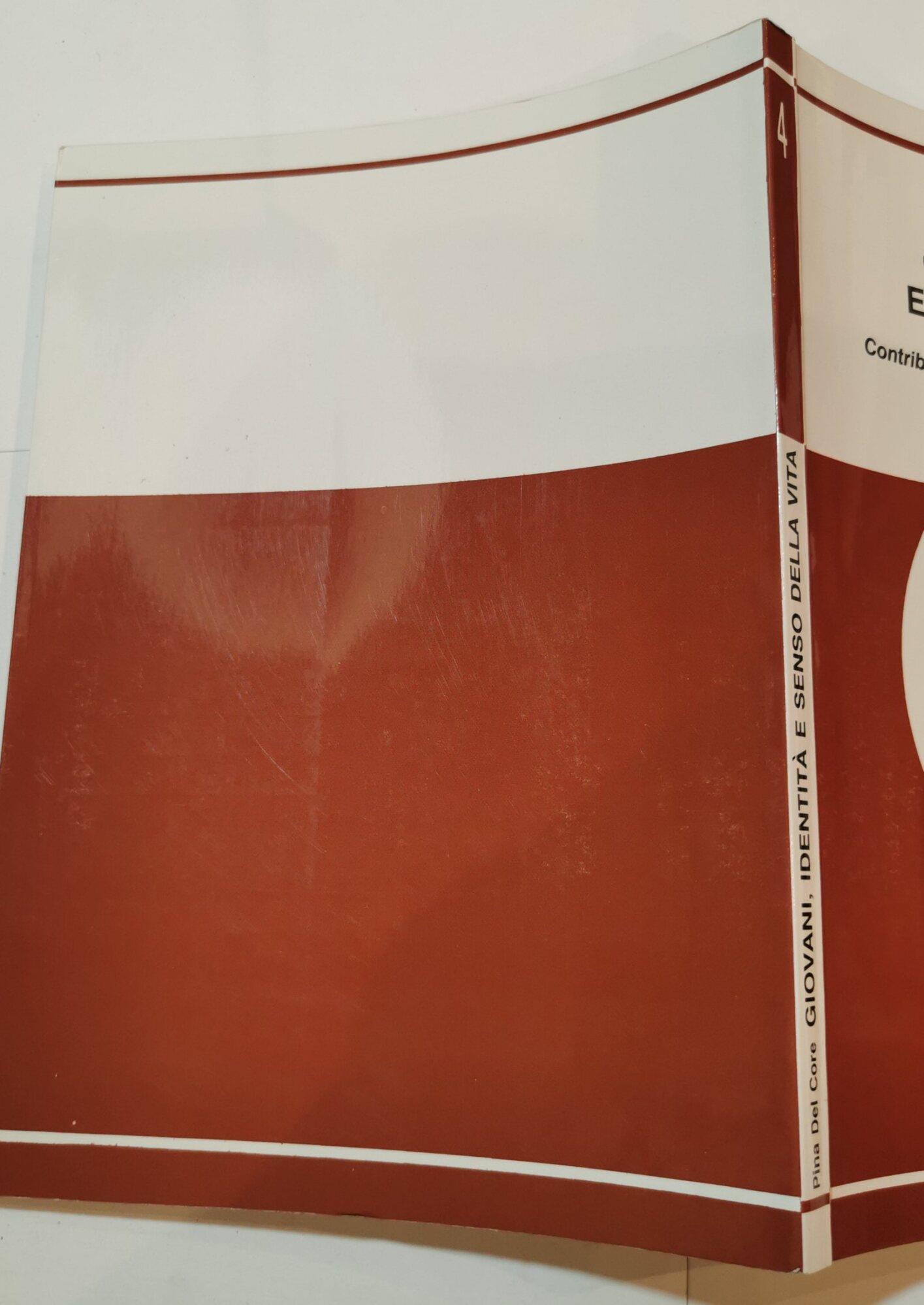 Giovani, identità, e senso della vita - contributo sperimentale alla teoria motivazionale di V.Frankl