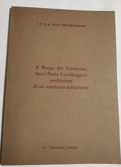Il Borgo dei Fornaciari fuori Porta Cavalleggeri evoluzione di un territorio suburbano - copertina
