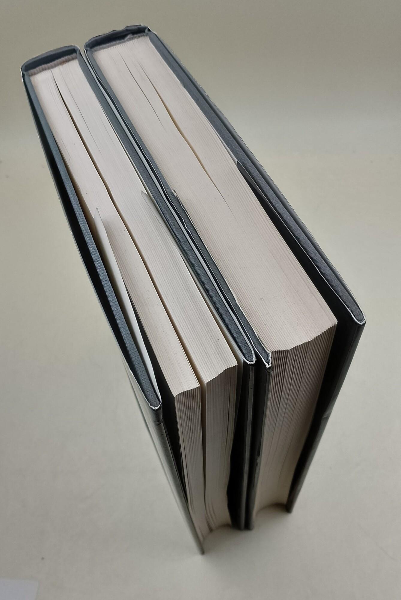 Roma - Palazzi, Palazzetti, case progetto per un inventario 1200-1870/ Roma - Chiese, conventi, chiostri progetto per un inventario- 313-1925- 2 voll