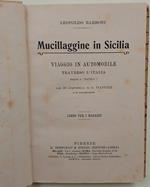 Mucillagine in Sicilia-Viaggio in automobile traverso l'Italia
