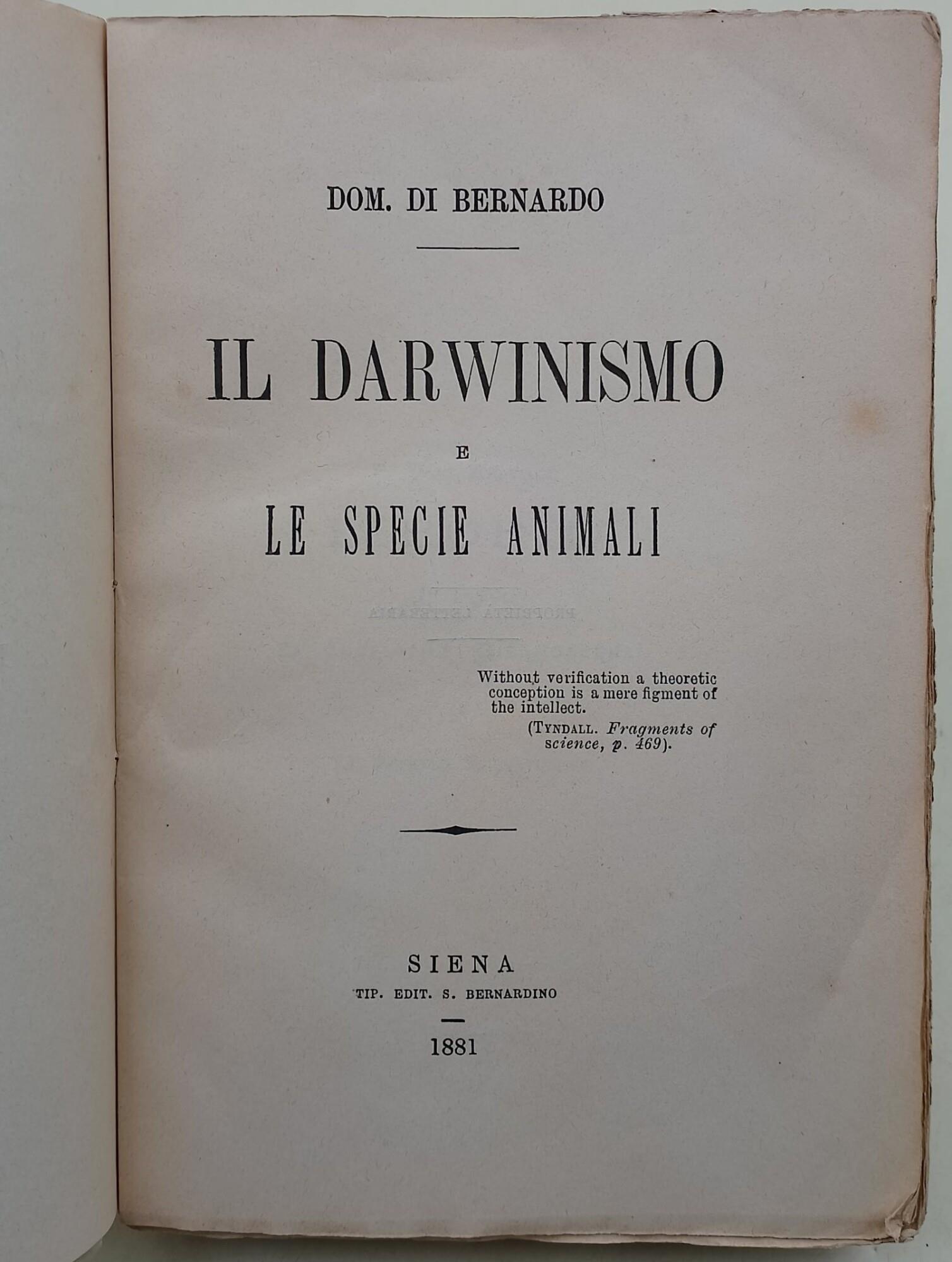 Invito alla Lettura