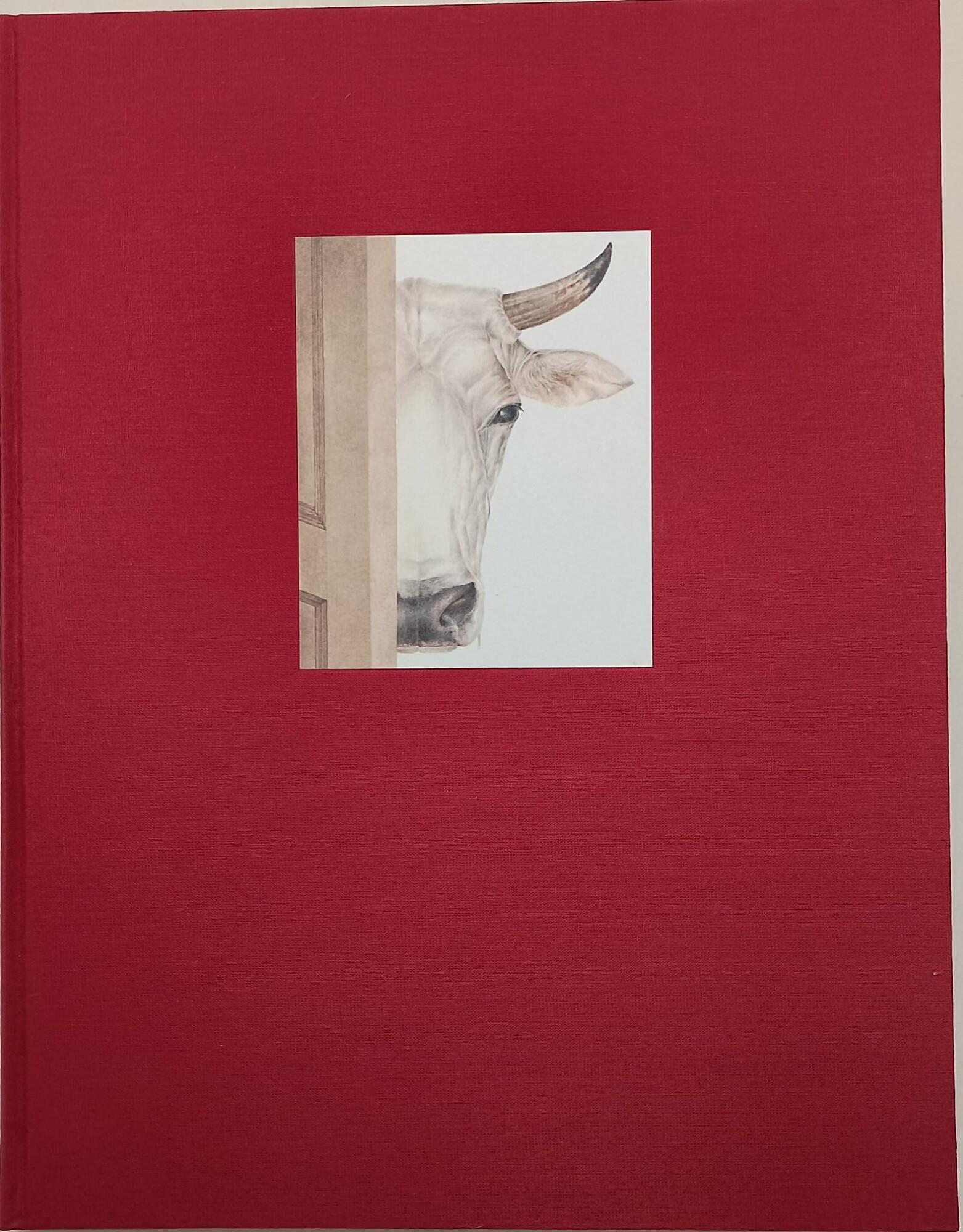 Invito alla Lettura