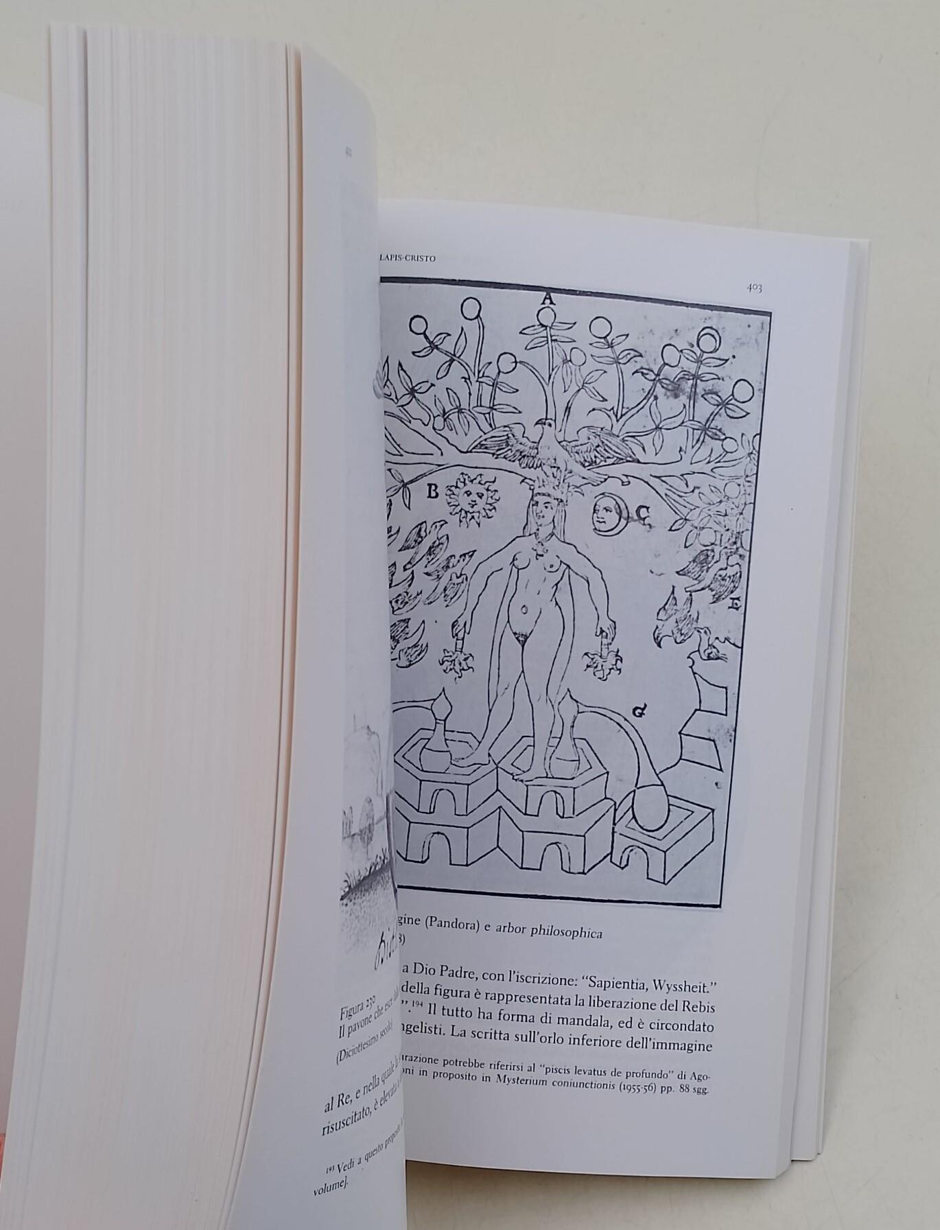 Opere-12 -Psicologia e alchimia