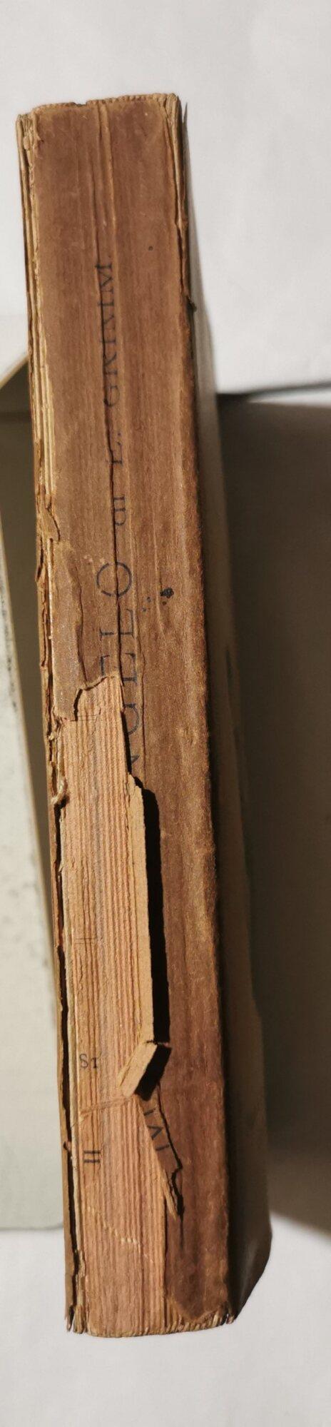 Michelangelo - Vol. Iì