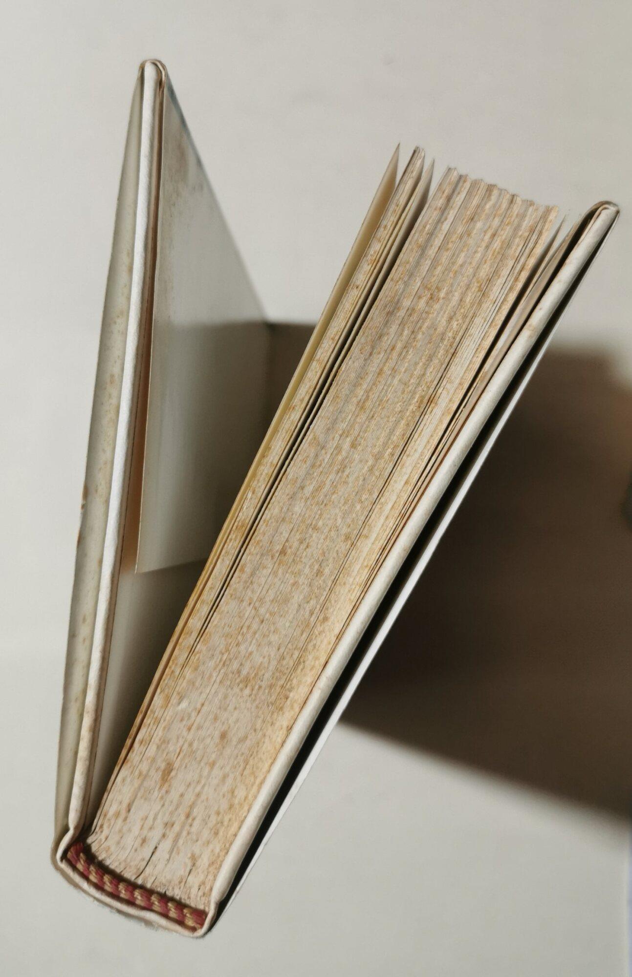 L' autunno del patriarca