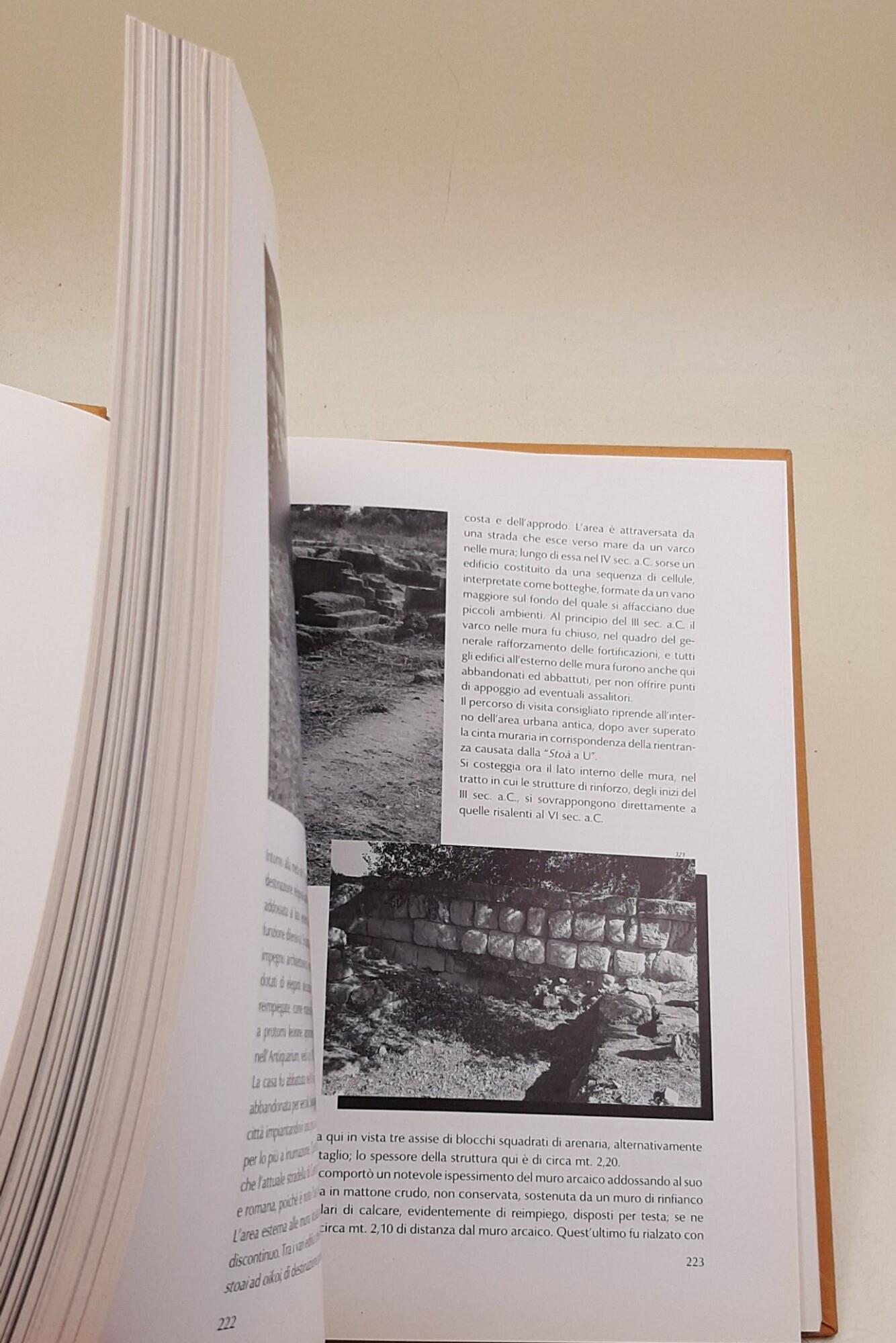 Una città in Magna Grecia. Locri Epizefiri