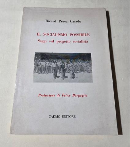 Il socialismo possibile - Saggi sul progetto socialista - copertina