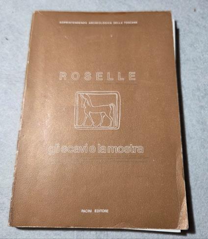Roselle gli scavi e la mostra - copertina