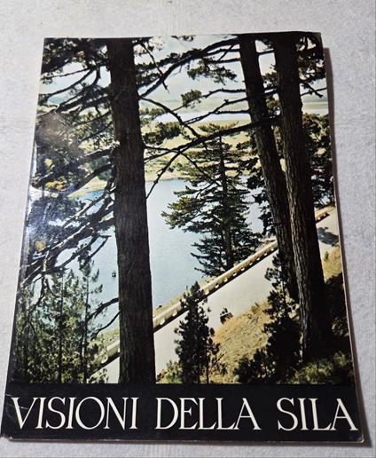 Visioni della Sila - Aa.vv. - copertina