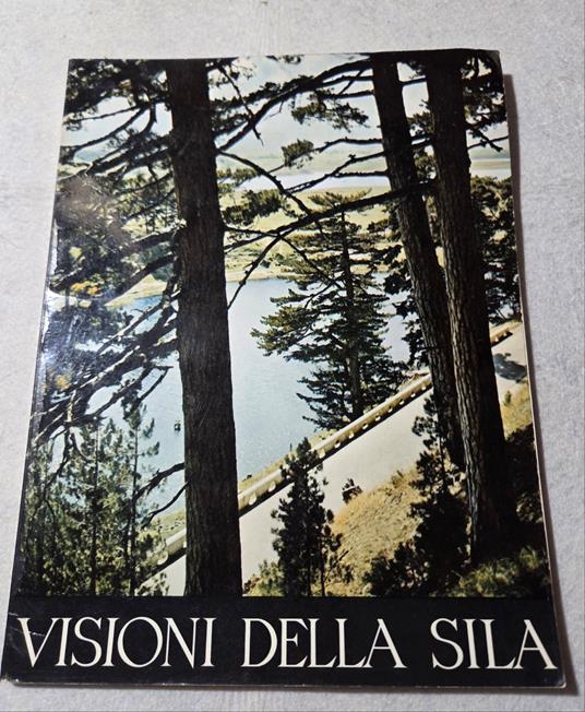 Visioni della Sila - Aa.vv. - copertina