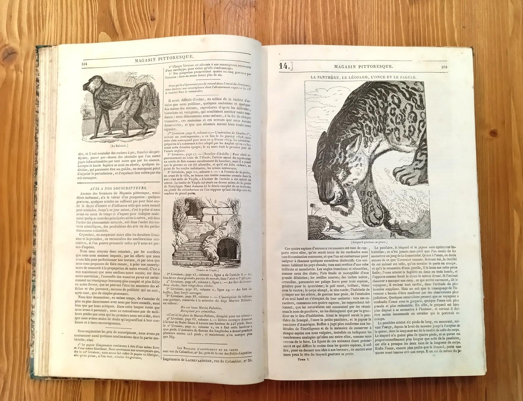 Le Magasin pittoresque - Première / Sixième année, 1833-1838 (prime 6 annate complete)