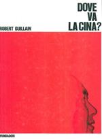 Dove va la Cina?