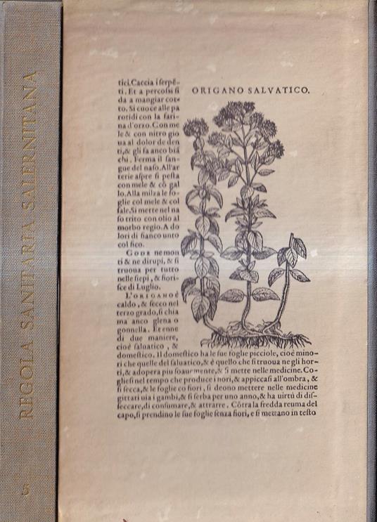 Regimen sanitatis Salerni - Regola sanitaria Salernitana - copertina